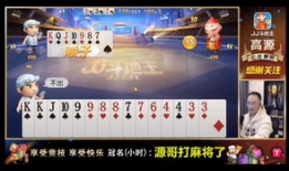 jj斗地主91直播,精彩对决，激情四溢的斗地主盛宴